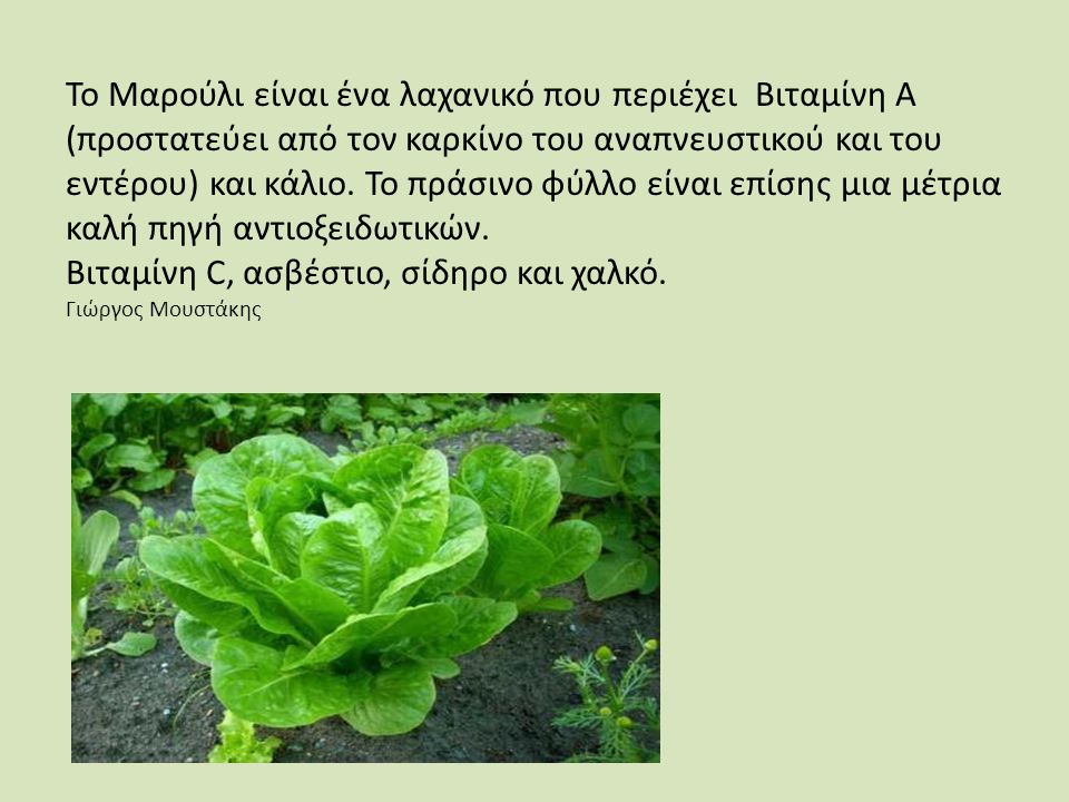Το Μαρούλι είναι ένα λαχανικό που περιέχει Βιταμίνη Α (προστατεύει από τον καρκίνο του αναπνευστικού και του εντέρου) και κάλιο.