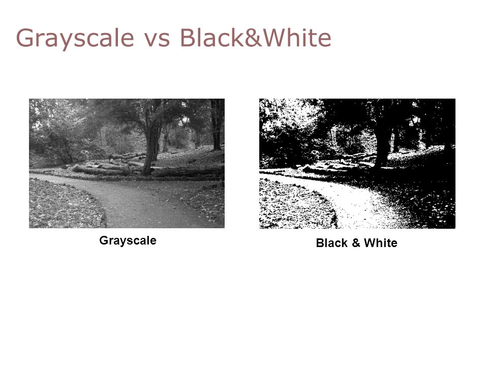 Grayscale vs Black&White