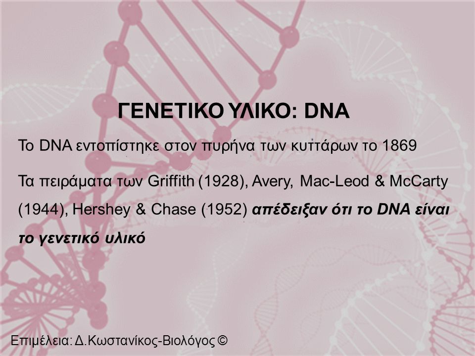ΓΕΝΕΤΙΚΟ ΥΛΙΚΟ: DNA Το DNA εντοπίστηκε στον πυρήνα των κυττάρων το