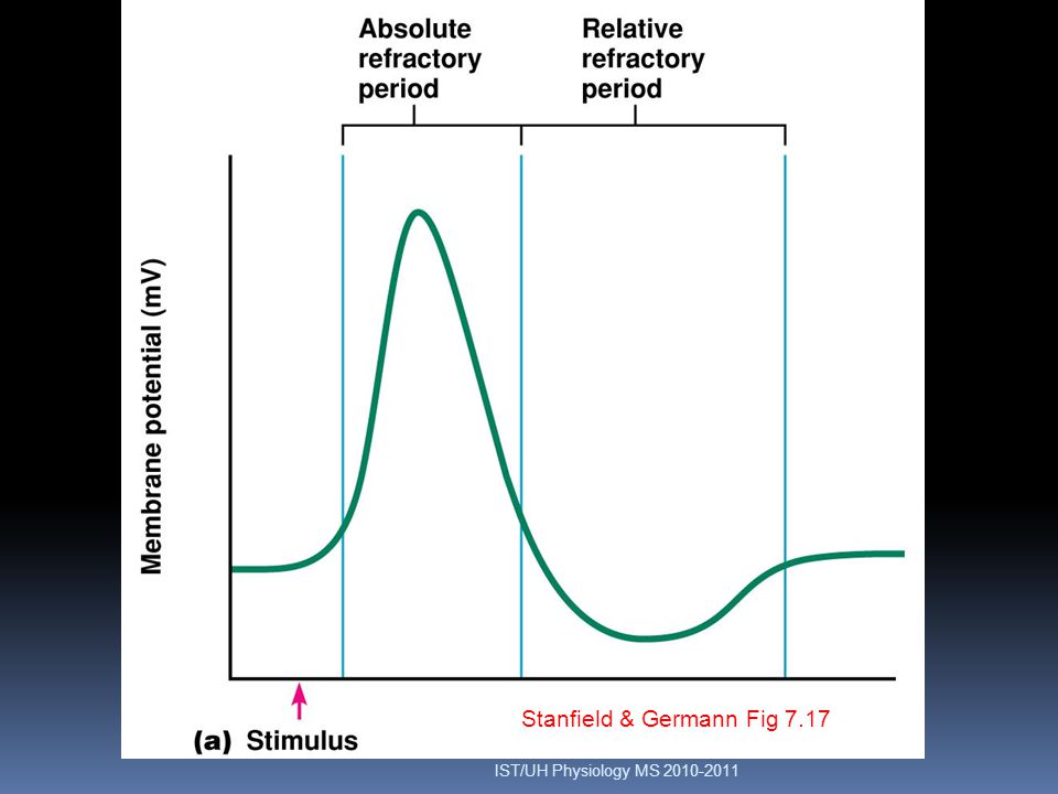 Δυναμικό Μεβράνης Stanfield & Germann Fig 7.17