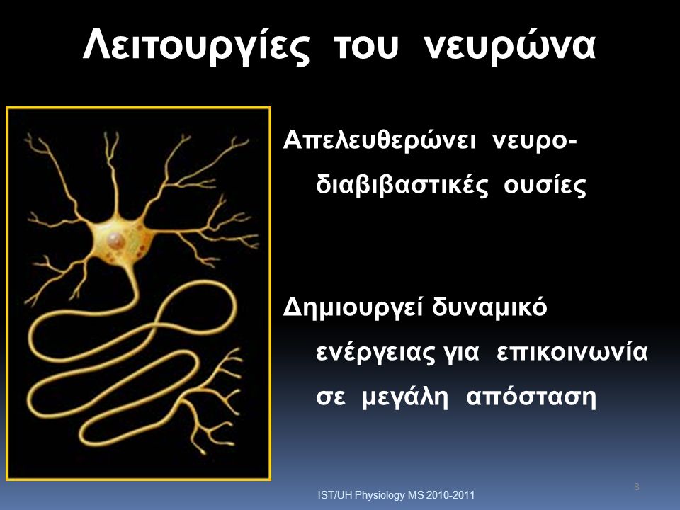 Λειτουργίες του νευρώνα