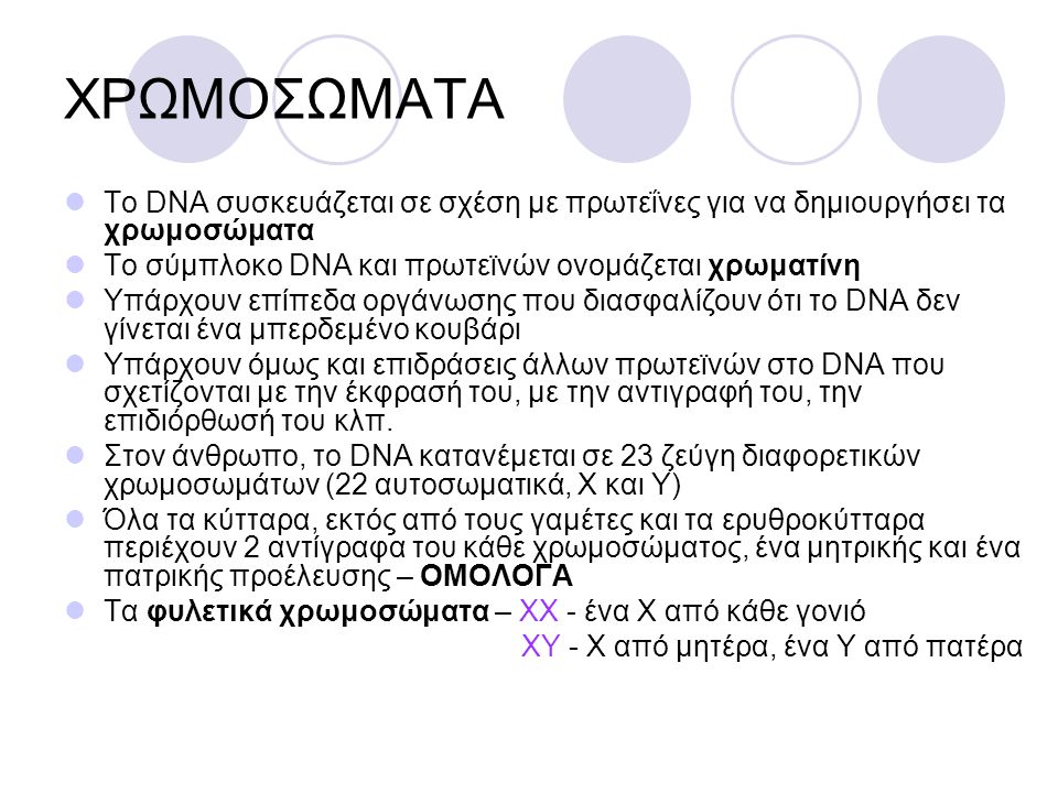 ΧΡΩΜΟΣΩΜΑΤΑ Το DNA συσκευάζεται σε σχέση με πρωτεΐνες για να δημιουργήσει τα χρωμοσώματα. Το σύμπλοκο DNA και πρωτεϊνών ονομάζεται χρωματίνη.