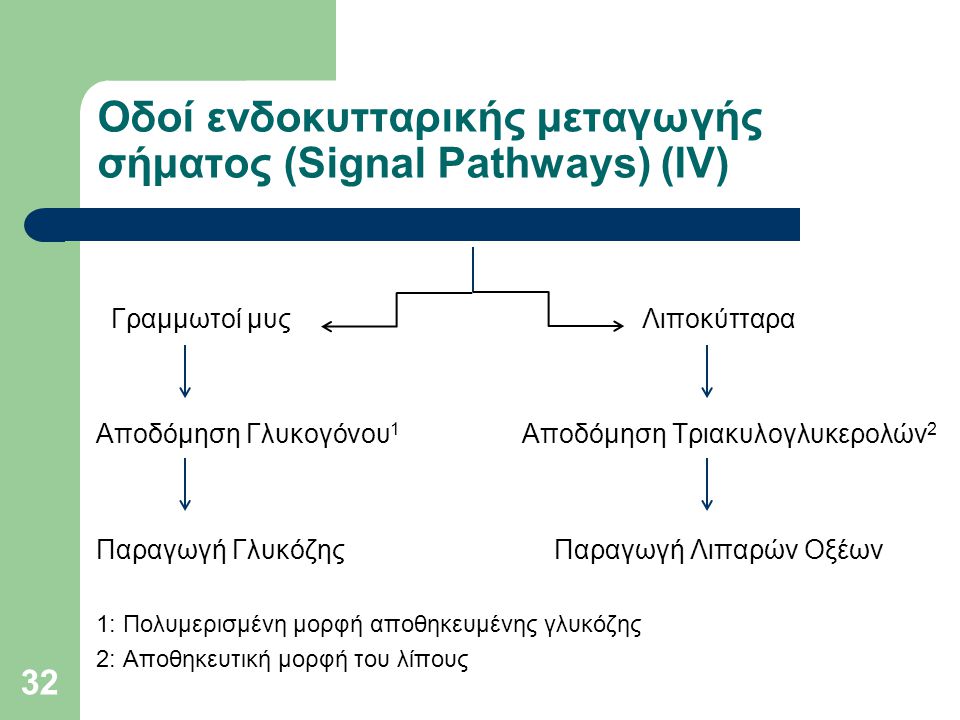 Οδοί ενδοκυτταρικής μεταγωγής σήματος (Signal Pathways) (ΙV)