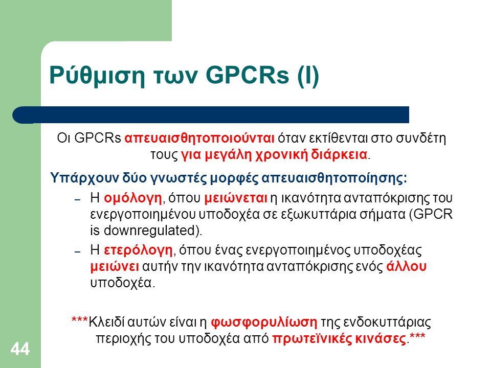 Ρύθμιση των GPCRs (Ι) Oι GPCRs απευαισθητοποιούνται όταν εκτίθενται στο συνδέτη τους για μεγάλη χρονική διάρκεια.