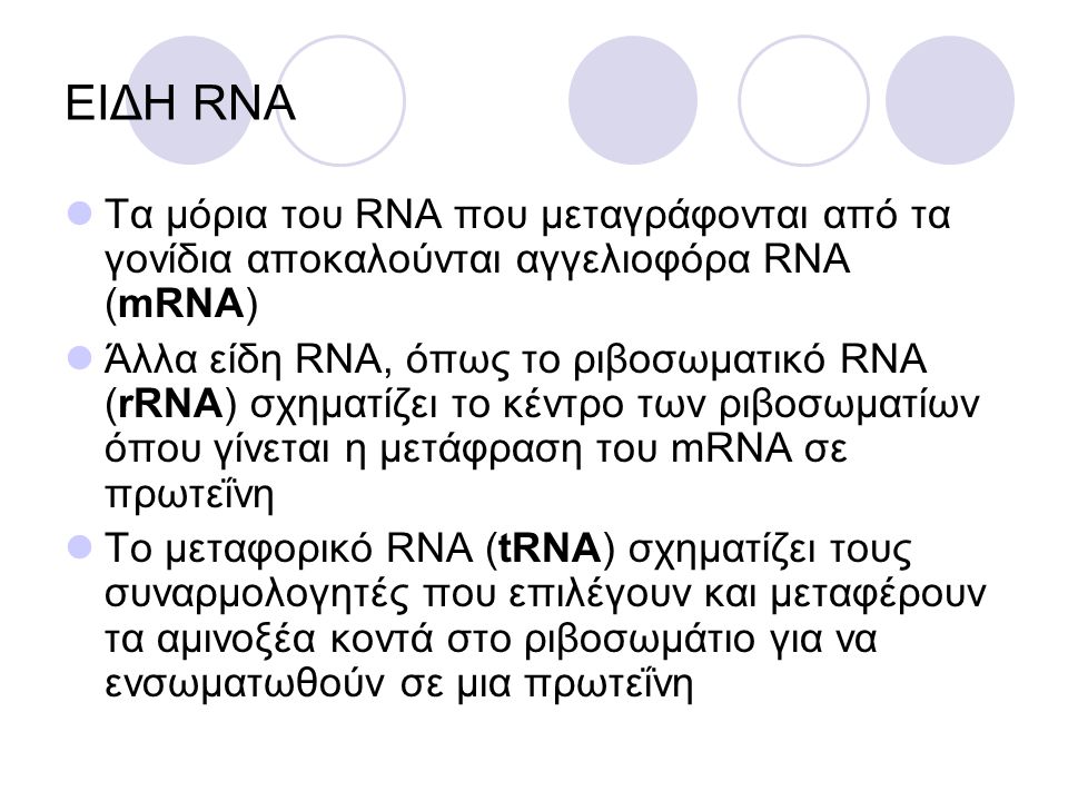 ΕΙΔΗ RNA Τα μόρια του RNA που μεταγράφονται από τα γονίδια αποκαλούνται αγγελιοφόρα RNA (mRNA)