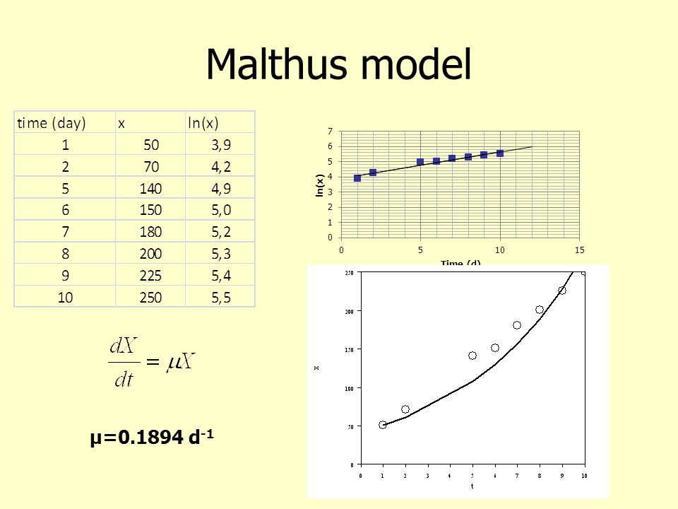 Malthus model μ= d-1