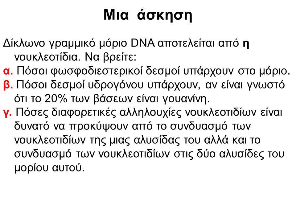 Μια άσκηση Δίκλωνο γραμμικό μόριο DNA αποτελείται από η νουκλεοτίδια. Να βρείτε: α. Πόσοι φωσφοδιεστερικοί δεσμοί υπάρχουν στο μόριο.