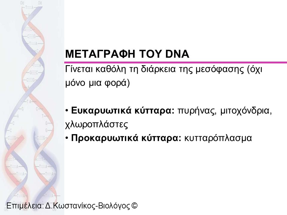 ΜΕΤΑΓΡΑΦΗ ΤΟΥ DNA Γίνεται καθόλη τη διάρκεια της μεσόφασης (όχι μόνο μια φορά) Ευκαρυωτικά κύτταρα: πυρήνας, μιτοχόνδρια, χλωροπλάστες.