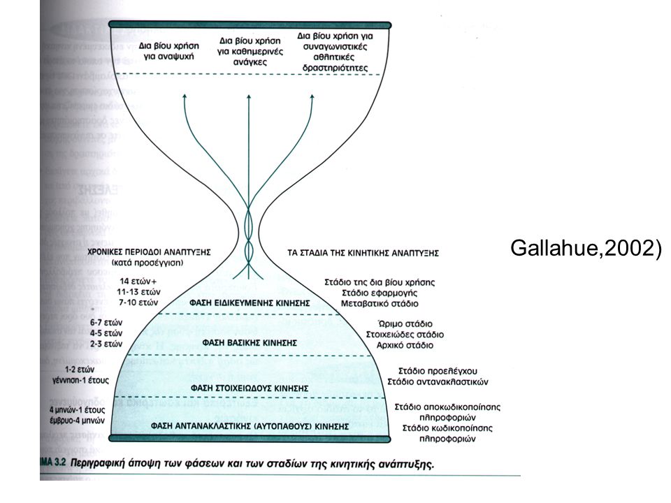 Gallahue,2002)