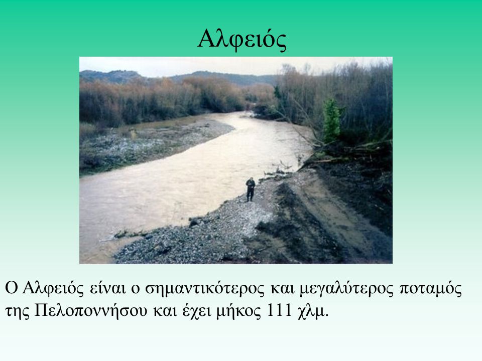 Αλφειός Ο Αλφειός είναι ο σημαντικότερος και μεγαλύτερος ποταμός της Πελοποννήσου και έχει μήκος 111 χλμ.