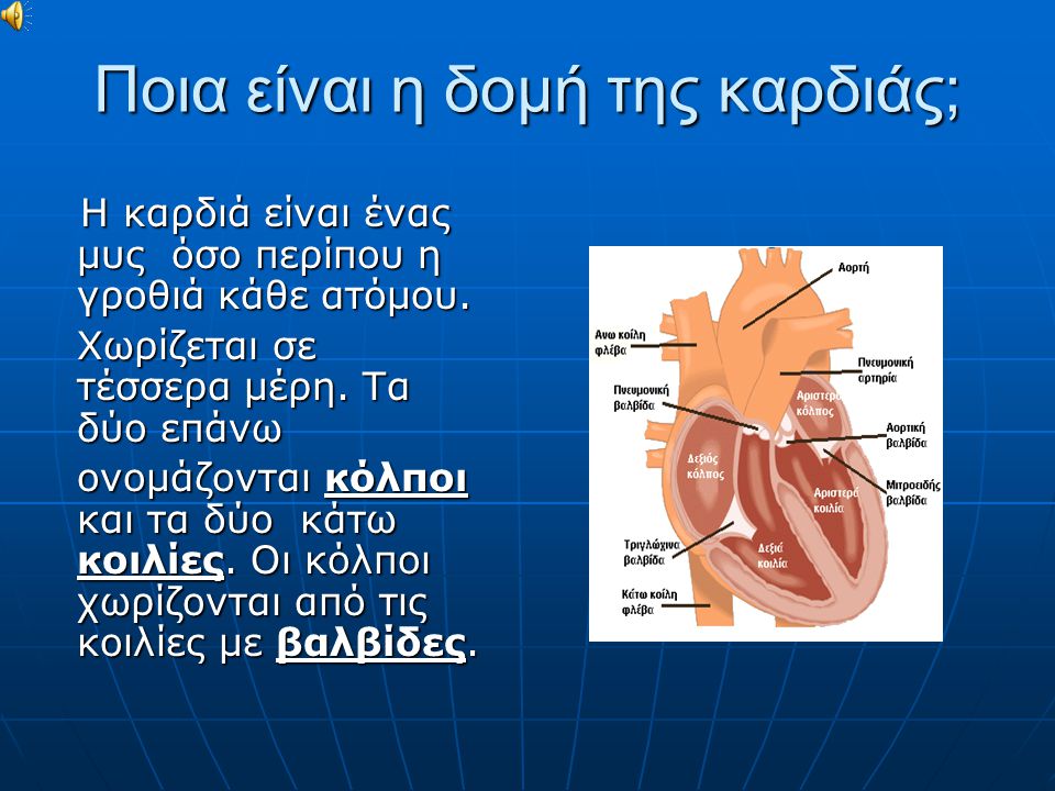 Ποια είναι η δομή της καρδιάς;