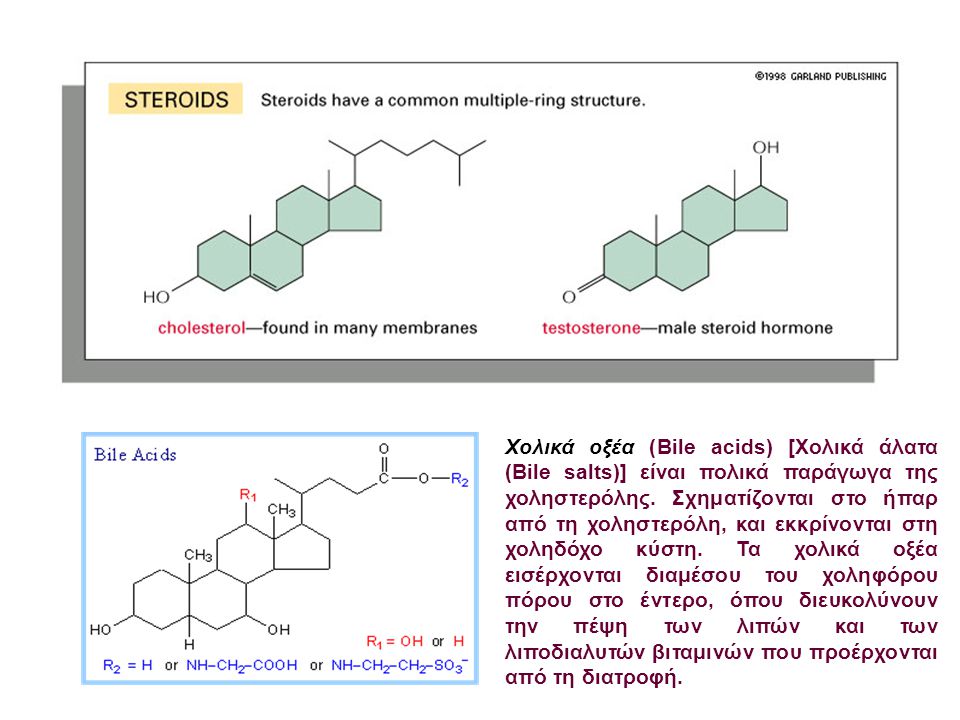 Χολικά οξέα (Bile acids) [Χολικά άλατα (Bile salts)] είναι πολικά παράγωγα της χοληστερόλης.