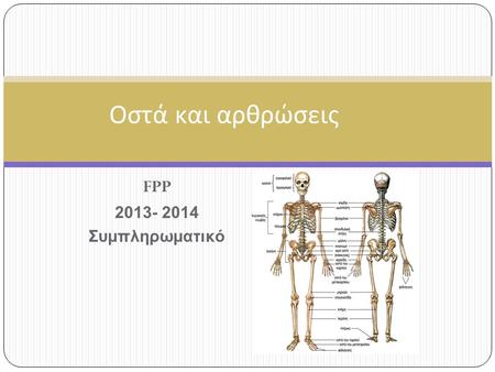 Οστά και αρθρώσεις FPP 2013- 2014 Συμπληρωματικό.