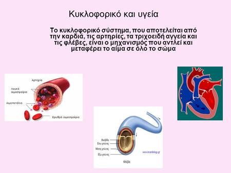 Κυκλοφορικό και υγεία Το κυκλοφορικό σύστημα, που αποτελείται από την καρδιά, τις αρτηρίες, τα τριχοειδή αγγεία και τις φλέβες, είναι ο μηχανισμός που.