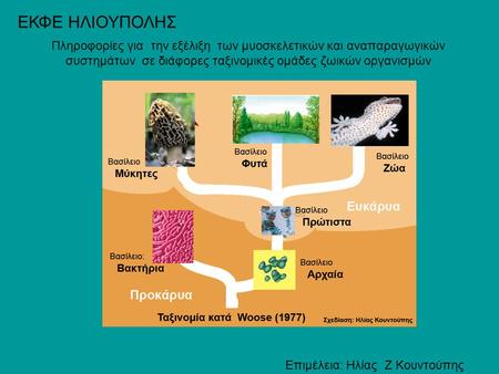 ΕΚΦΕ ΗΛΙΟΥΠΟΛΗΣ Πληροφορίες για την εξέλιξη των μυοσκελετικών και αναπαραγωγικών συστημάτων σε διάφορες ταξινομικές ομάδες ζωικών οργανισμών Επιμέλεια: