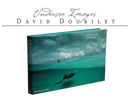 Ο David Doubilet γεννήθηκε στη Νέα Υόρκη το 1946, και άρχισε καταδύσεις στην ηλικία των 8 ετών. Πέρασε 13 χρόνια φωτογραφίζοντας κατά μήκος των ακτών.