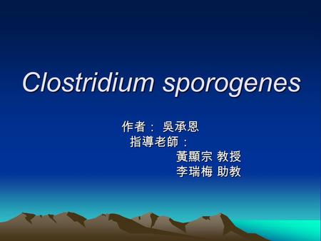 Clostridium sporogenes