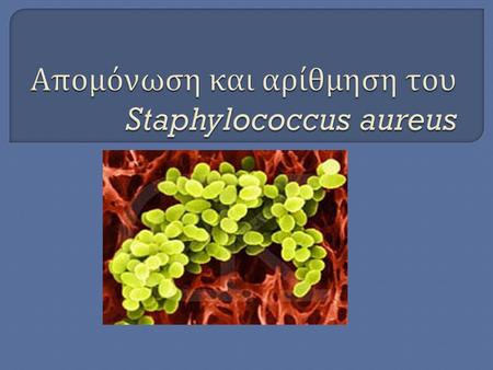 Απομόνωση και αρίθμηση του Staphylococcus aureus