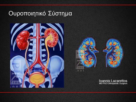 Ουροποιητικό Σύστημα Ioannis Lazarettos MD PhD Orthopaedic Surgeon 1.