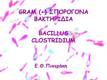 GRAM (+) ΣΠΟΡΟΓΟΝΑ ΒΑΚΤΗΡΙΔΙΑ BACILLUS CLOSTRIDIUM Ε.Θ.Πιπεράκη.