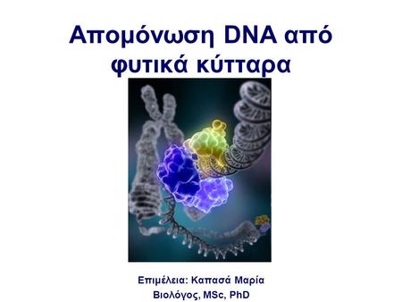 Aπομόνωση DNA από φυτικά κύτταρα Επιμέλεια: Καπασά Μαρία Βιολόγος, MSc, PhD.