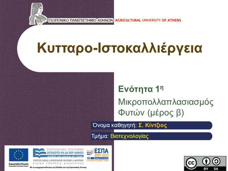 Κυτταρο-Ιστοκαλλιέργεια Ενότητα 1 η Μικροπολλαπλασιασμός Φυτών (μέρος β) Όνομα καθηγητή: Σ. Κίντζιος Τμήμα: Βιοτεχνολογίας.