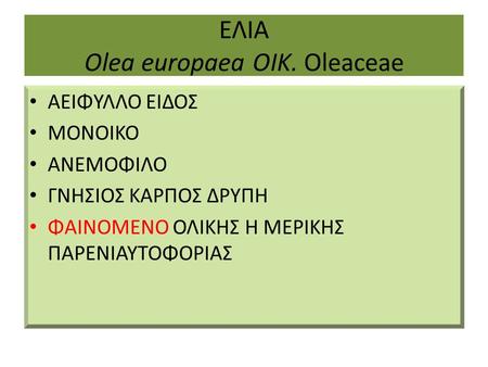 ΕΛΙΑ Olea europaea ΟΙΚ. Oleaceae