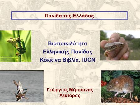 Πανίδα της Ελλάδας Γεώργιος Μήτσαινας Λέκτορας Βιοποικιλότητα Ελληνικής Πανίδας Κόκκινα Βιβλία, IUCN.