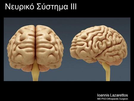 Νευρικό Σύστημα ΙIΙ Ioannis Lazarettos MD PhD Orthopaedic Surgeon.