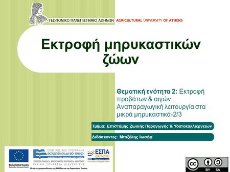 Εκτροφή μηρυκαστικών ζώων Θεματική ενότητα 2: Εκτροφή προβάτων & αιγών. Αναπαραγωγική λειτουργία στα μικρά μηρυκαστικά-2/3 Τμήμα: Επιστήμης Ζωικής Παραγωγής.