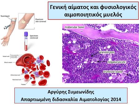 Γενική αίματος και φυσιολογικός αιμοποιητικός μυελός Αργύρης Συμεωνίδης Απαρτιωμένη διδασκαλία Αιματολογίας 2014.