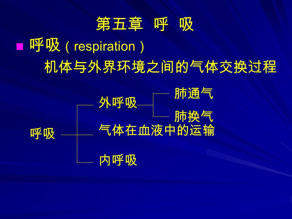 第五章呼吸呼吸 Respiration 机体与外界环境之间的气体交换过程呼吸外呼吸内呼吸气体在血液中的运输肺通气肺换气 Ppt Katebasma