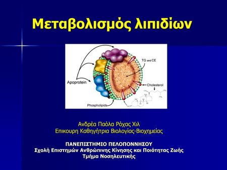 Μεταβολισμός λιπιδίων