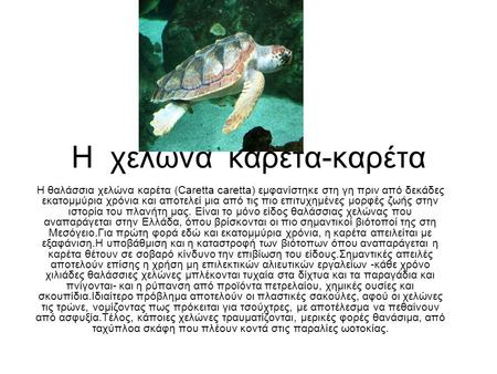 Η χελώνα καρέτα-καρέτα