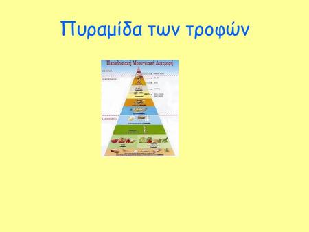 Πυραμίδα των τροφών.