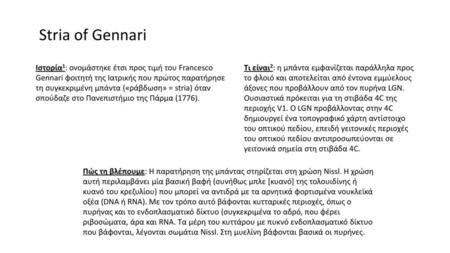 Stria of Gennari Ιστορία1: ονομάστηκε έτσι προς τιμή του Francesco Gennari φοιτητή της Ιατρικής που πρώτος παρατήρησε τη συγκεκριμένη μπάντα («ράβδωση»