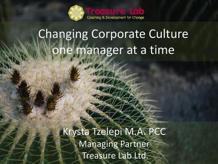 Changing Corporate Culture one manager at a time