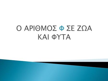 Ο ΑΡΙΘΜΟΣ Φ ΣΕ ΖΩΑ ΚΑΙ ΦΥΤΑ