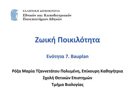 Ζωική Ποικιλότητα Ενότητα 7. Bauplan