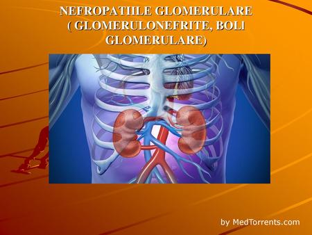 NEFROPATIILE GLOMERULARE ( GLOMERULONEFRITE, BOLl GLOMERULARE)
