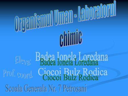 Organismul Uman - Laboratorul chimic