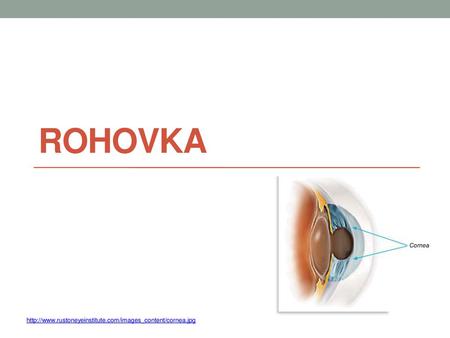 Rohovka http://www.rustoneyeinstitute.com/images_content/cornea.jpg.