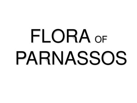 FLORA OF PARNASSOS.