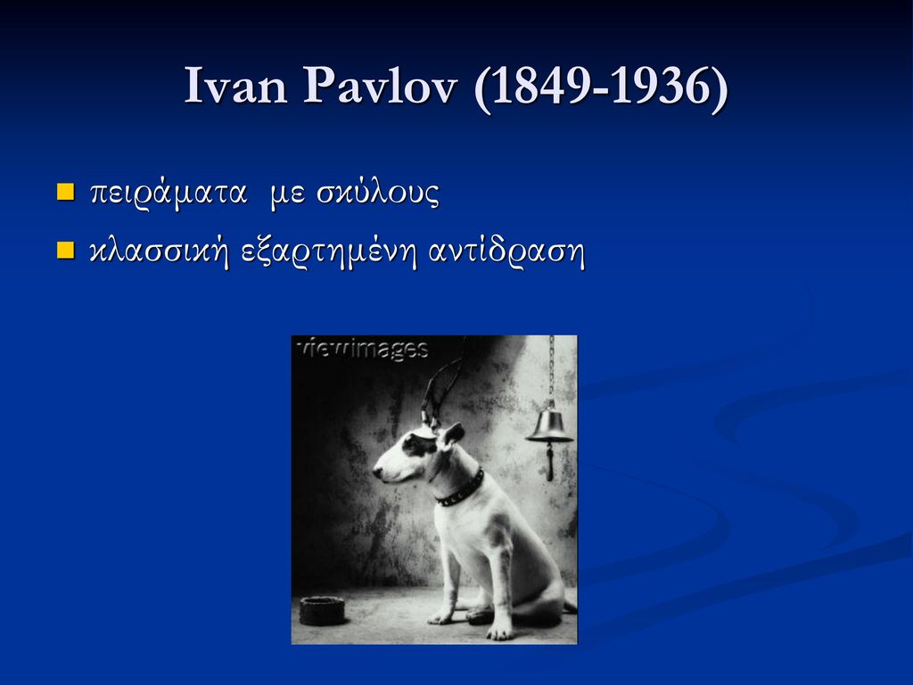 Ivan Pavlov ( ) πειράματα με σκύλους
