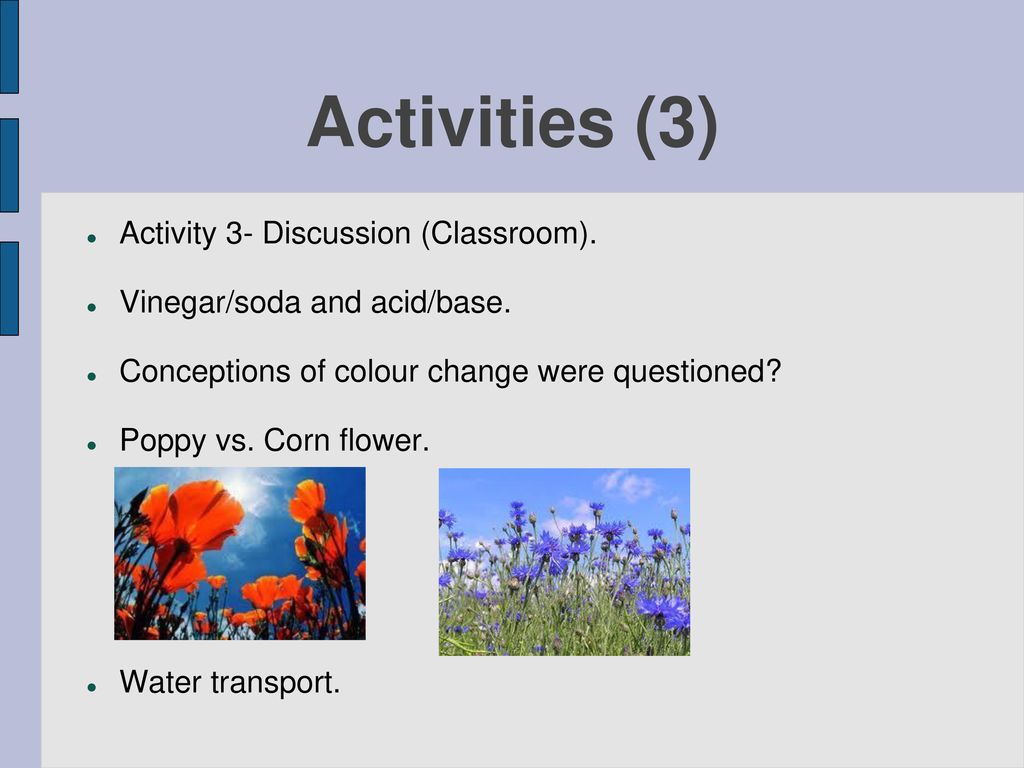 Activities (3) Activity 3- Discussion (Classroom).