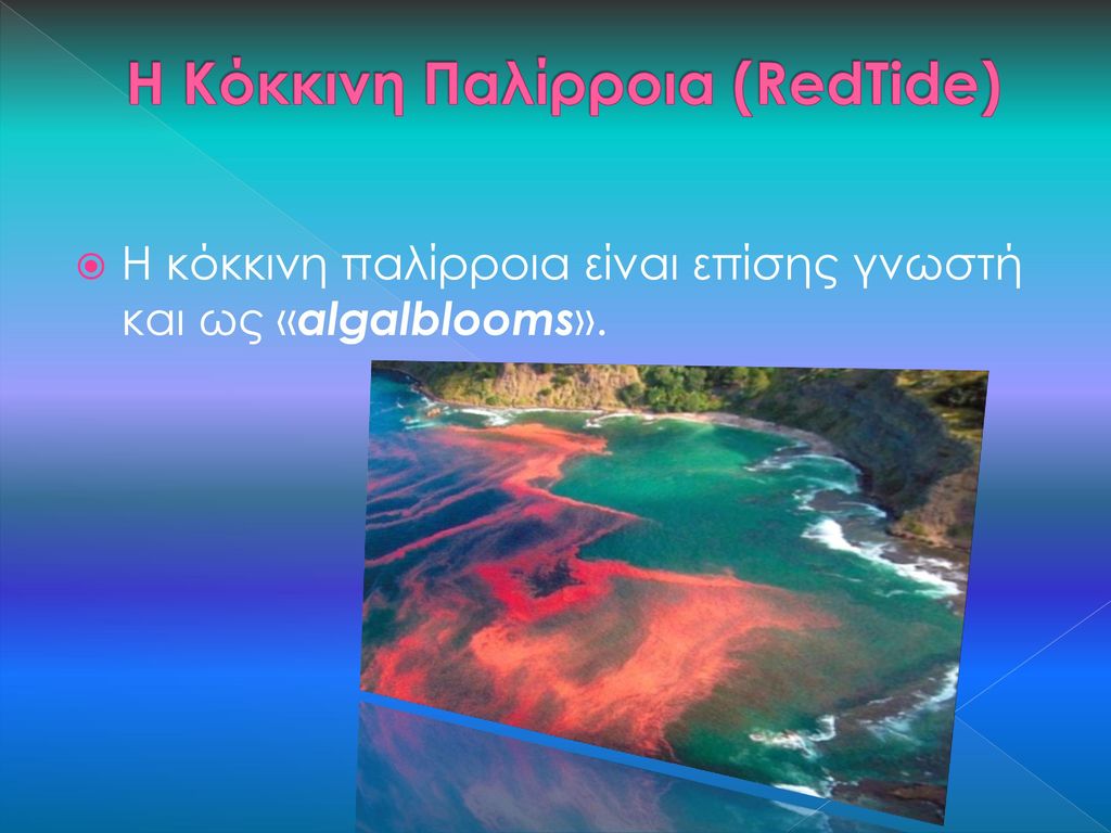 Η Κόκκινη Παλίρροια (RedTide)