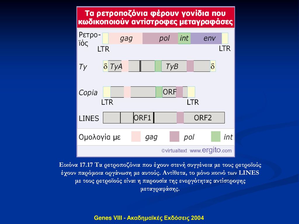 Genes VIII - Ακαδημαϊκές Εκδόσεις 2004