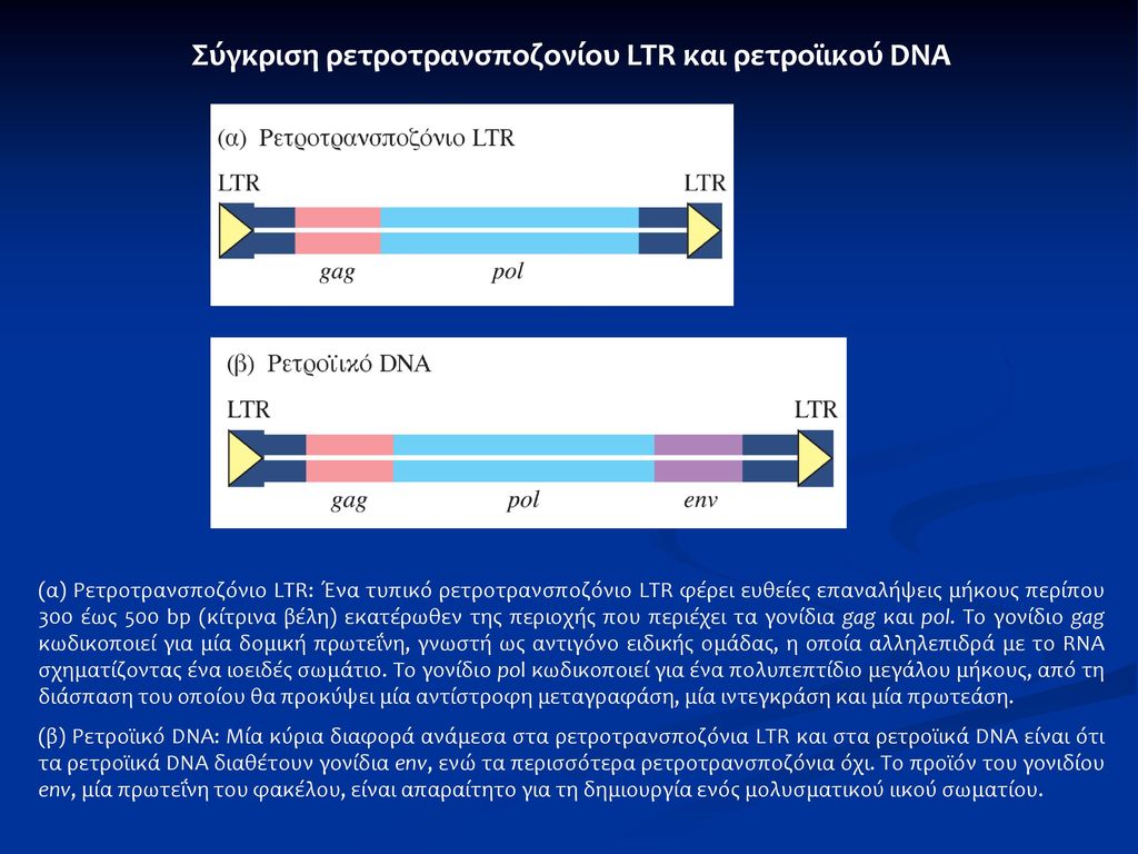 Σύγκριση ρετροτρανσποζονίου LTR και ρετροϊικού DNA