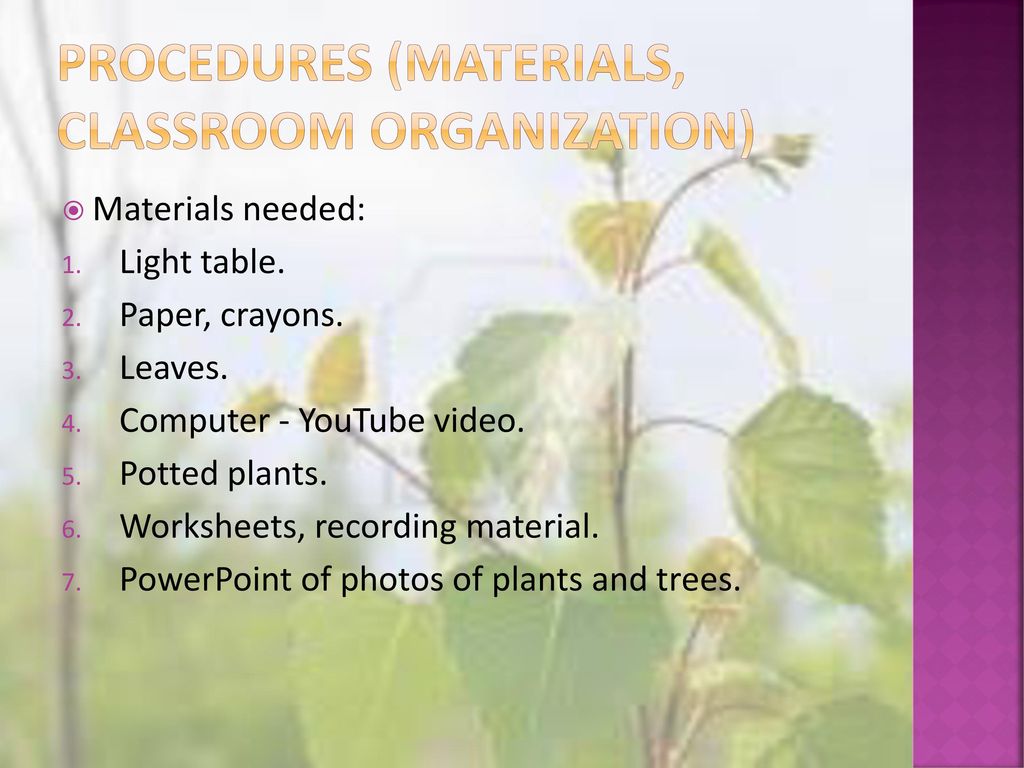 Procedures (materials, classroom organization)