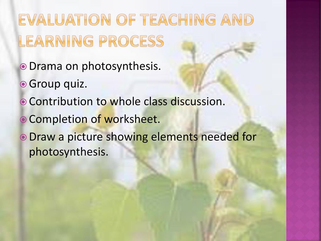 Evaluation of teaching and learning process